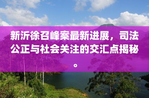 新沂徐召峰案最新进展，司法公正与社会关注的交汇点揭秘。