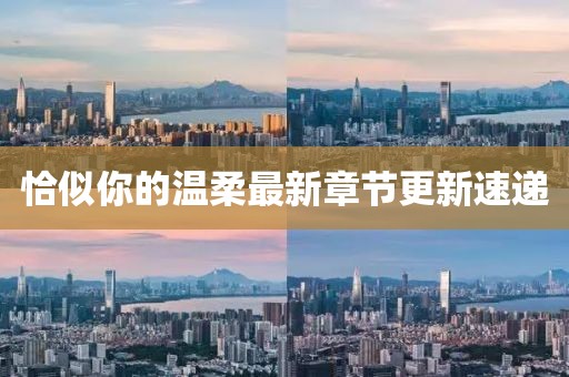 恰似你的温柔最新章节更新速递