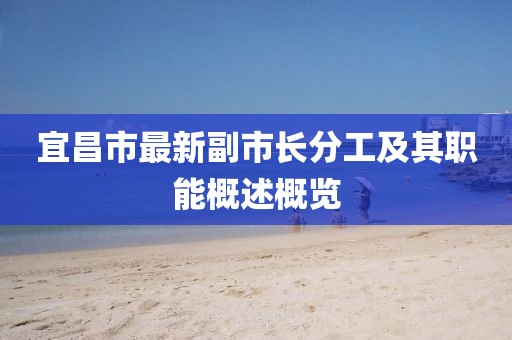 宜昌市最新副市长分工及其职能概述概览