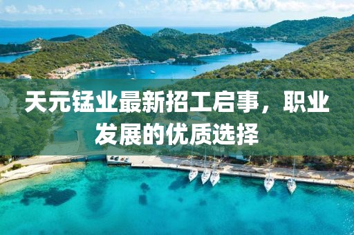 天元锰业最新招工启事，职业发展的优质选择
