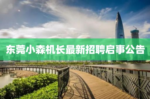 东莞小森机长最新招聘启事公告