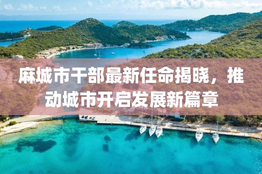 麻城市干部最新任命揭晓，推动城市开启发展新篇章
