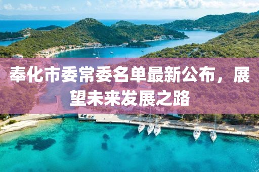 奉化市委常委名单最新公布，展望未来发展之路