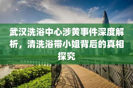 武汉洗浴中心涉黄事件深度解析，清洗浴带小姐背后的真相探究