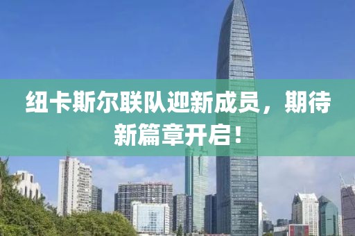 秋南枝 第17页