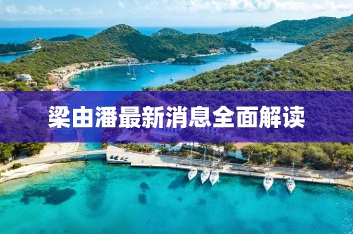 梁由潘最新消息全面解读