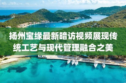 扬州宝缘最新暗访视频展现传统工艺与现代管理融合之美