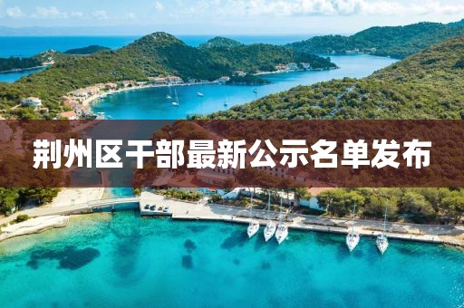 荆州区干部最新公示名单发布