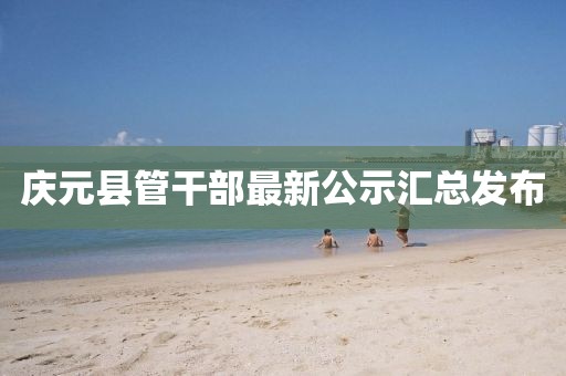 庆元县管干部最新公示汇总发布