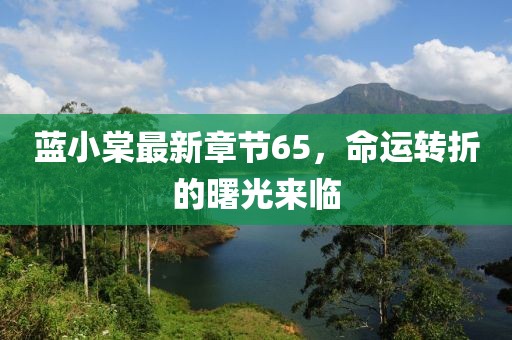 蓝小棠最新章节65，命运转折的曙光来临