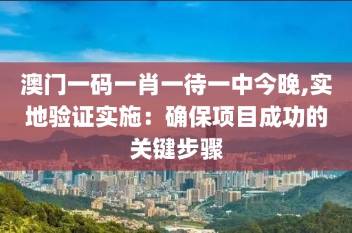 澳门一码一肖一待一中今晚,实地验证实施：确保项目成功的关键步骤