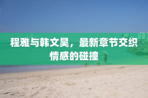 程雅与韩文昊，最新章节交织情感的碰撞
