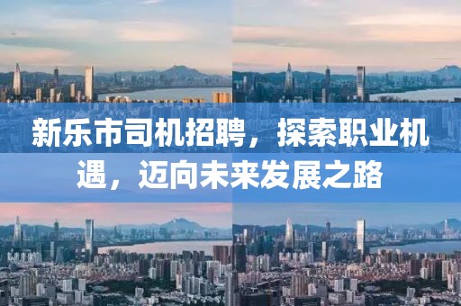 新乐市司机招聘，探索职业机遇，迈向未来发展之路