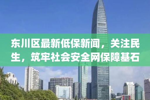 东川区最新低保新闻，关注民生，筑牢社会安全网保障基石
