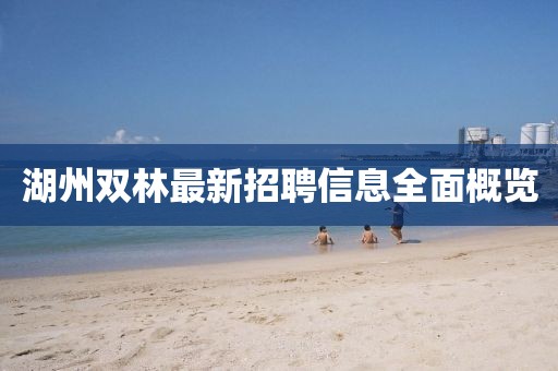 湖州双林最新招聘信息全面概览