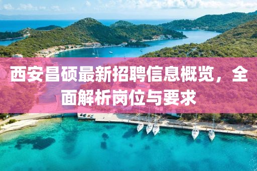 西安昌硕最新招聘信息概览，全面解析岗位与要求