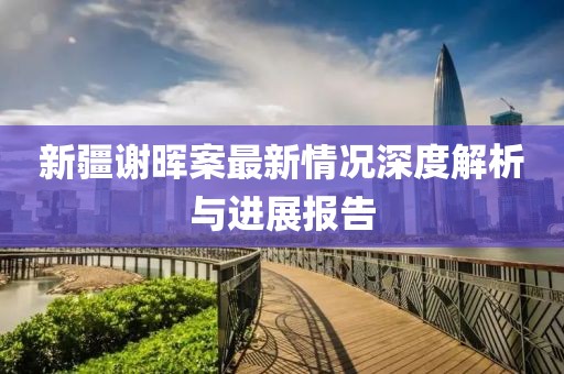 新疆谢晖案最新情况深度解析与进展报告