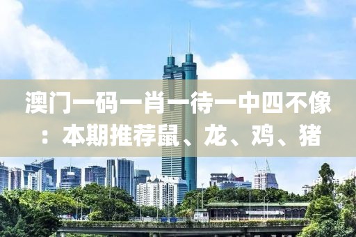 澳门一码一肖一待一中四不像：本期推荐鼠、龙、鸡、猪
