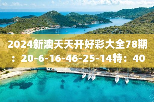 2024新澳天天开好彩大全78期：20-6-16-46-25-14特：40