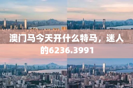 澳门马今天开什么特马，迷人的6236.3991