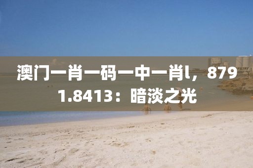 澳门一肖一码一中一肖l，8791.8413：暗淡之光