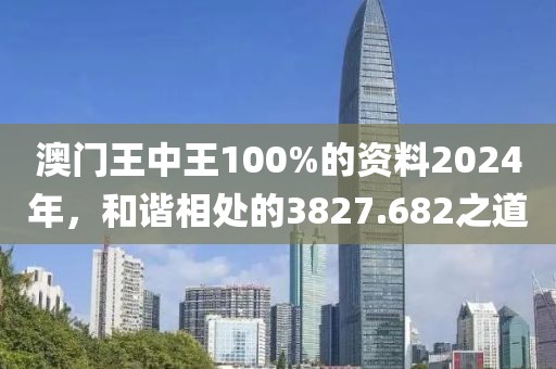 澳门王中王100%的资料2024年，和谐相处的3827.682之道