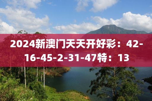 2024新澳门天天开好彩：42-16-45-2-31-47特：13