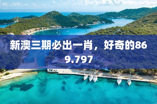 新澳三期必出一肖，好奇的869.797