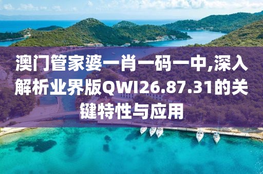 澳门管家婆一肖一码一中,深入解析业界版QWI26.87.31的关键特性与应用
