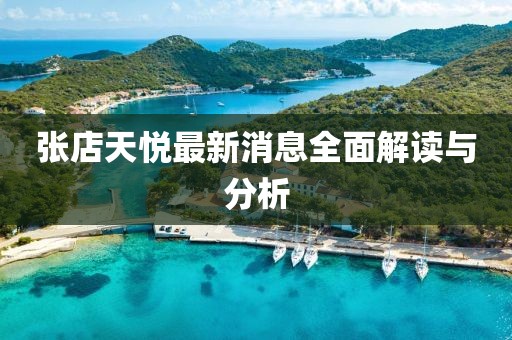 张店天悦最新消息全面解读与分析