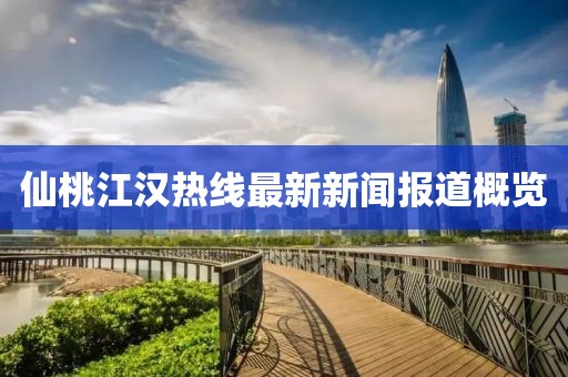 仙桃江汉热线最新新闻报道概览