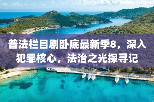 普法栏目剧卧底最新季8，深入犯罪核心，法治之光探寻记