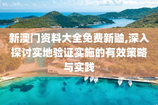 新澳门资料大全免费新鼬,深入探讨实地验证实施的有效策略与实践