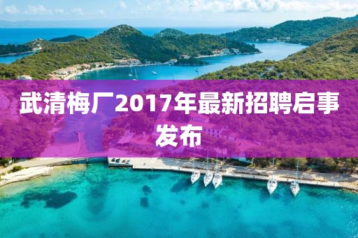 武清梅厂2017年最新招聘启事发布