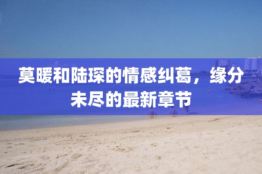 莫暖和陆琛的情感纠葛，缘分未尽的最新章节