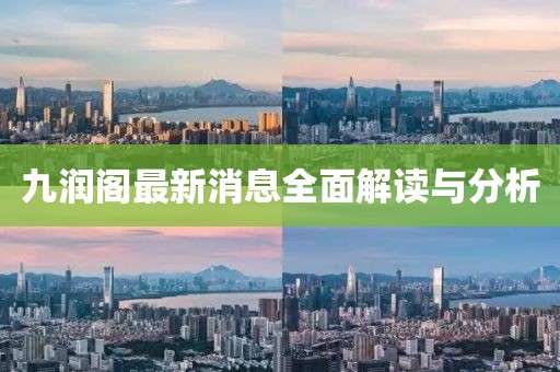 九润阁最新消息全面解读与分析