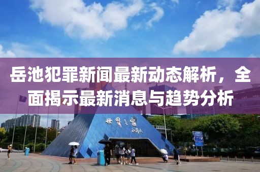 岳池犯罪新闻最新动态解析，全面揭示最新消息与趋势分析