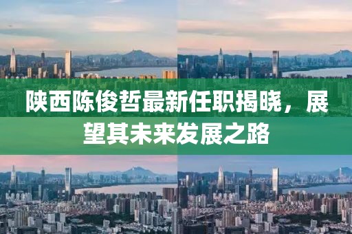 陕西陈俊哲最新任职揭晓，展望其未来发展之路