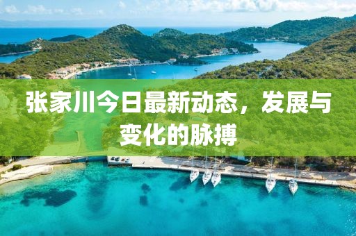 张家川今日最新动态，发展与变化的脉搏