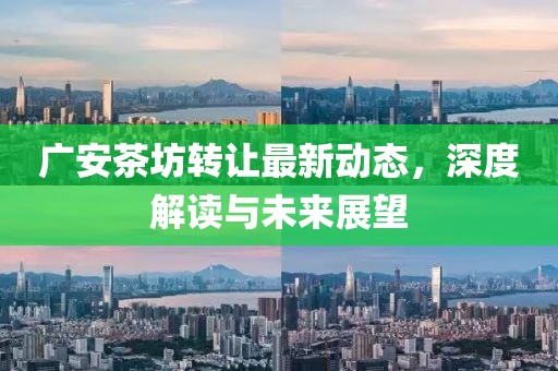 广安茶坊转让最新动态，深度解读与未来展望