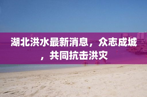 湖北洪水最新消息，众志成城，共同抗击洪灾