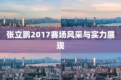 张立鹏2017赛场风采与实力展现