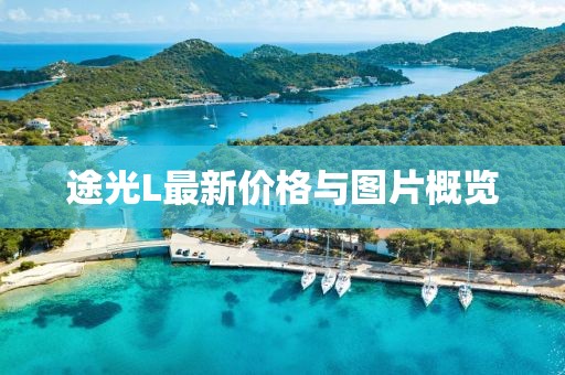 烟花冷 第15页