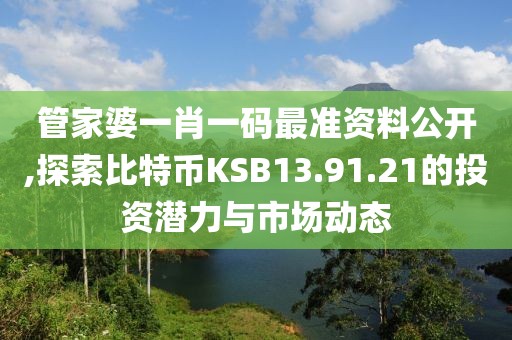 管家婆一肖一码最准资料公开,探索比特币KSB13.91.21的投资潜力与市场动态