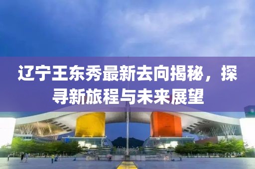 辽宁王东秀最新去向揭秘，探寻新旅程与未来展望