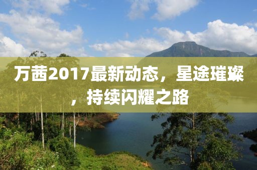 万茜2017最新动态，星途璀璨，持续闪耀之路