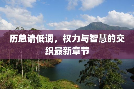 历总请低调，权力与智慧的交织最新章节