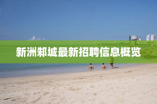 新洲邾城最新招聘信息概览