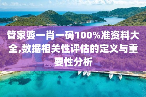 管家婆一肖一码100%准资料大全,数据相关性评估的定义与重要性分析