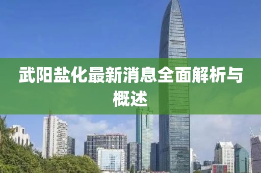 武阳盐化最新消息全面解析与概述